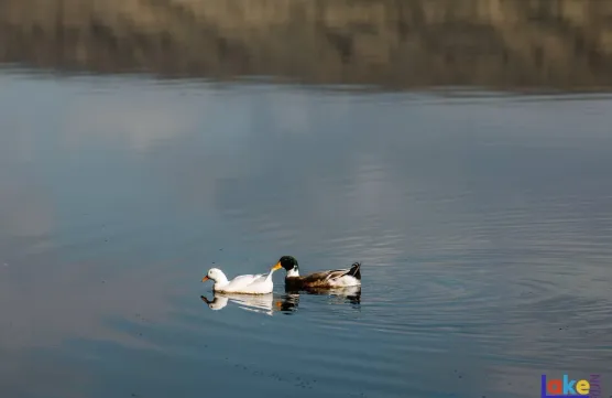 Природа — это не просто окружающая среда, это сложная системаimage
