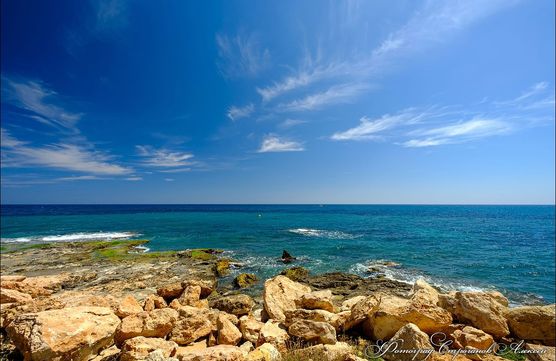 postdlyasoftdeletingimage