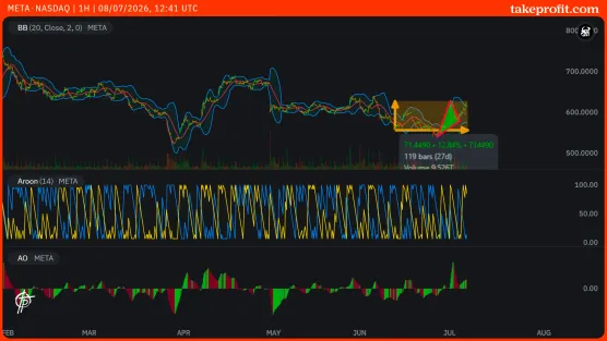 Chart paid post_Metaimage