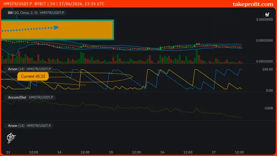 HMSTR_USDT.P-BYBIT chart paidimage