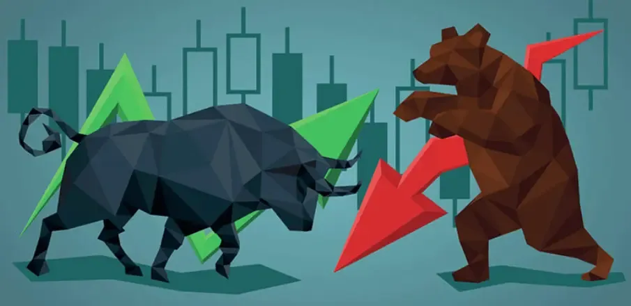 It's strange that the text is displayed, although it is under the picture