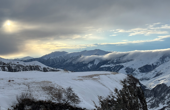 New Post from Safariimage