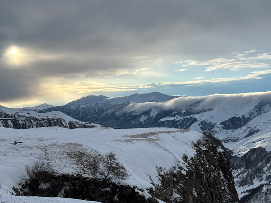 New Post from Safariimage