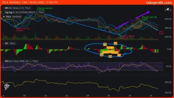 TSLA paid_13$_edtimage