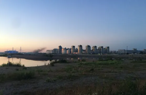 NVDA or BTC is the best rally 2024?🤔📈💸image