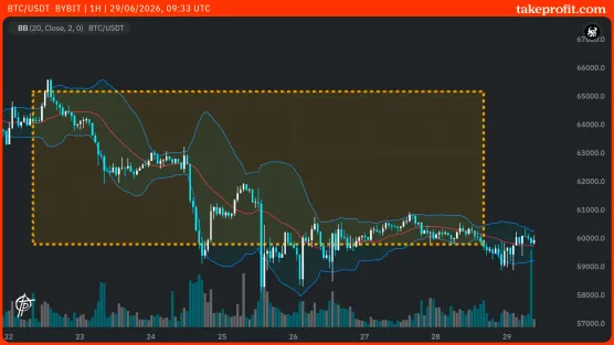 Branch-STAGE_Snapshot+Screenshot_chart sharingimage